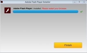 Downloand và Cài đặt Adobe Flash Player mới nhất