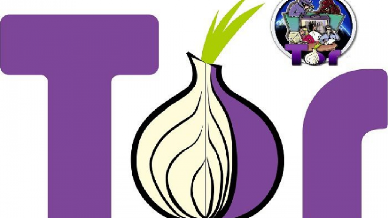 Tor browser windows 8 64 гирда