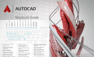 Tổng hợp phím tắt và các lệnh trong AutoCAD
