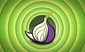 Cách sử dụng Tor để bảo vệ sự riêng tư của bạn