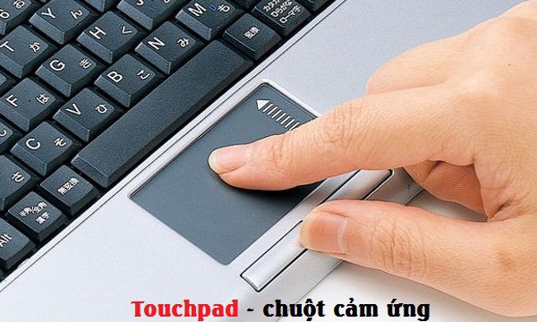 Bàn di chuột cảm ứng ( Touchpad ) trên Laptop không hoạt động