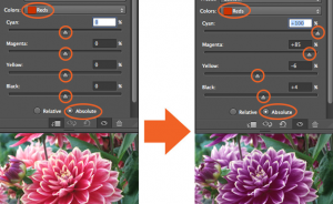 Điều chỉnh Màu sắc trong Photoshop CS6 với Adjustment Layers