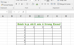 cach hop nhat cac o trong excel nhanh